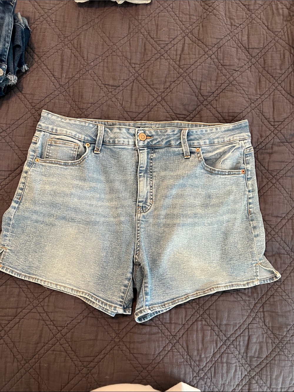 Terra & Sky Light Blue Denim Shorts
